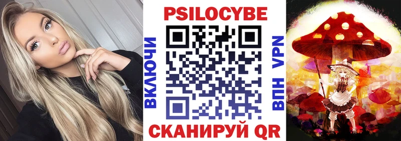 Псилоцибиновые грибы Cubensis Холм
